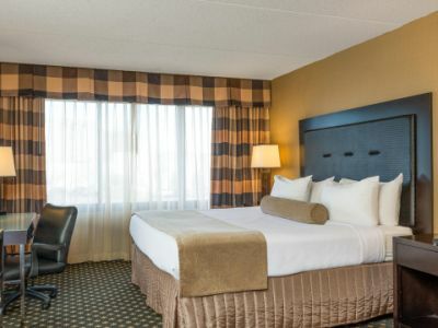 Hotel Crowne Plaza Indianapolis-airport By Ihg Indianápolis